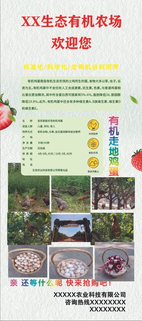 鸡蛋展架