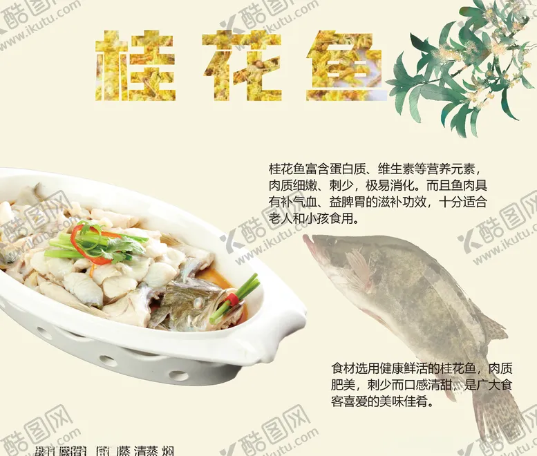 编号：88426709221807185906【酷图网】源文件下载-桂花鱼海报