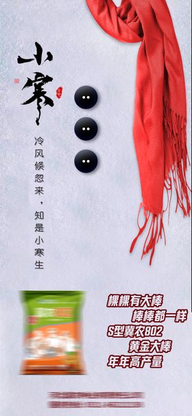 小寒海报下雪大雪冬至