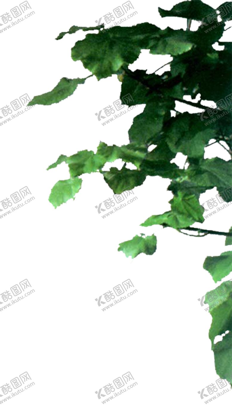 编号：43566010280237487388【酷图网】源文件下载-绿色相框