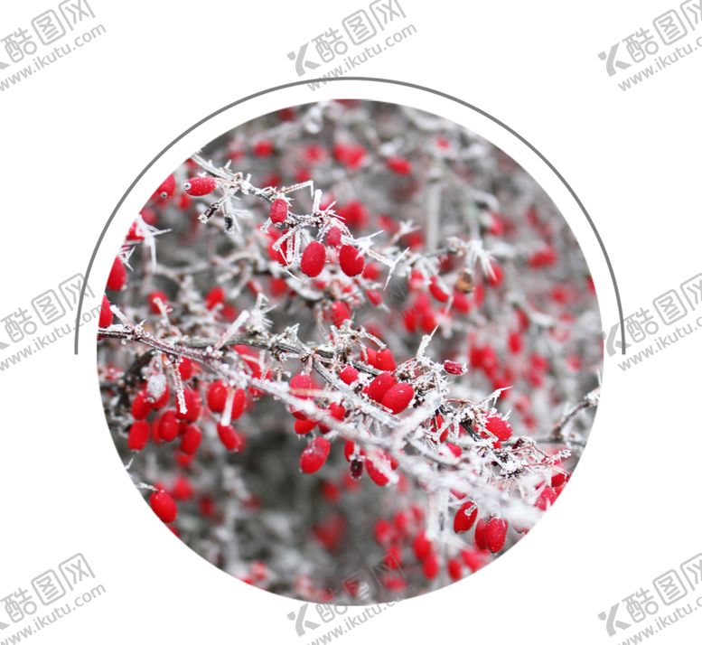 编号：20513311011848589249【酷图网】源文件下载-霜降