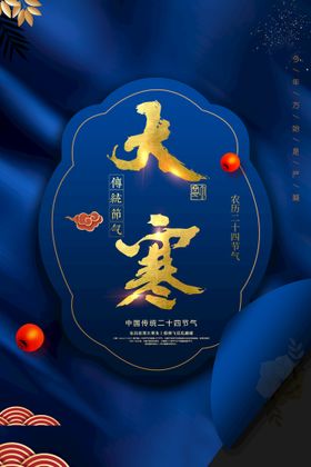 大寒节气房地产海报