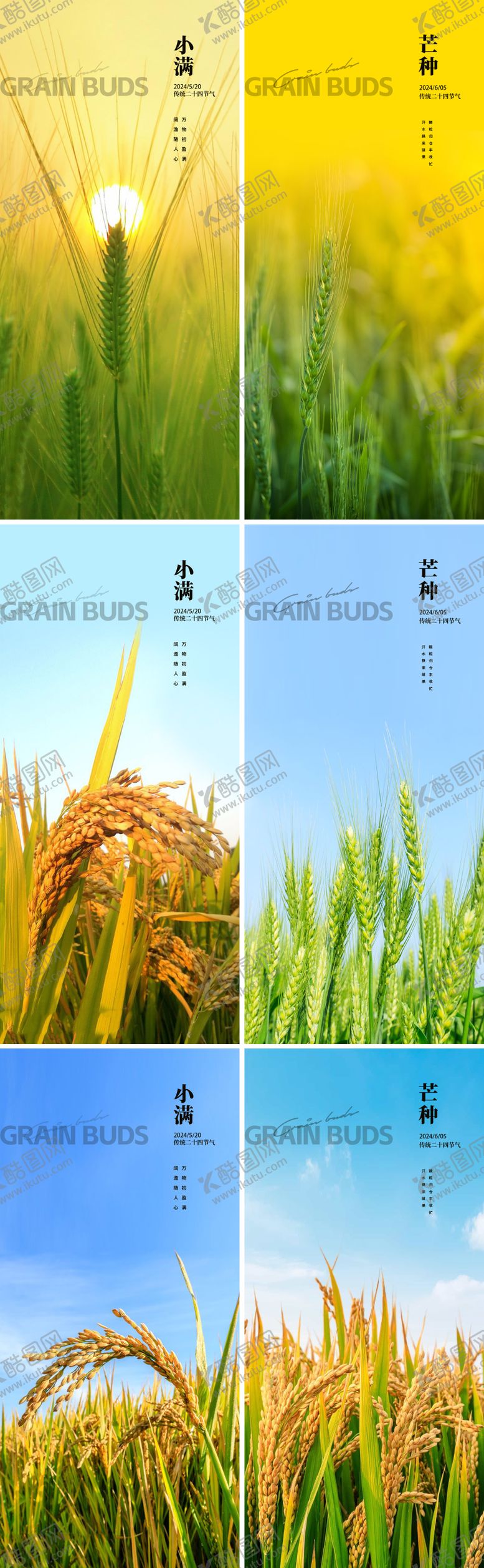 编号：81008511301015029914【酷图网】源文件下载-小满节气海报