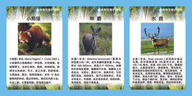 珍稀野生保护动物
