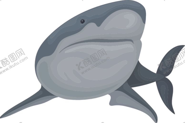 编号：29883210070948128532【酷图网】源文件下载-鲨鱼