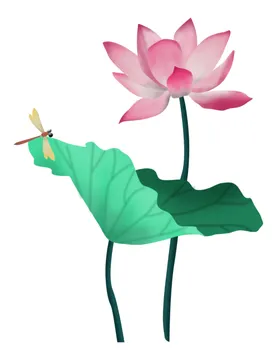 荷花图标莲背景莲工笔画莲logo