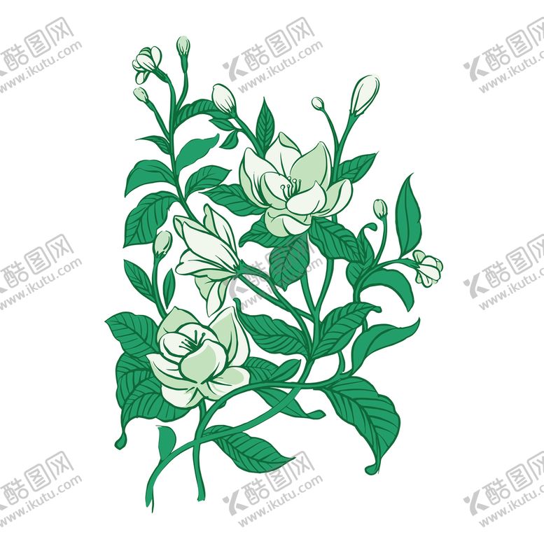 编号：43856109210527221025【酷图网】源文件下载-茉莉花手绘