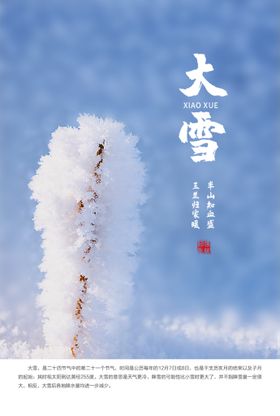 二十四节气之大雪节气海报