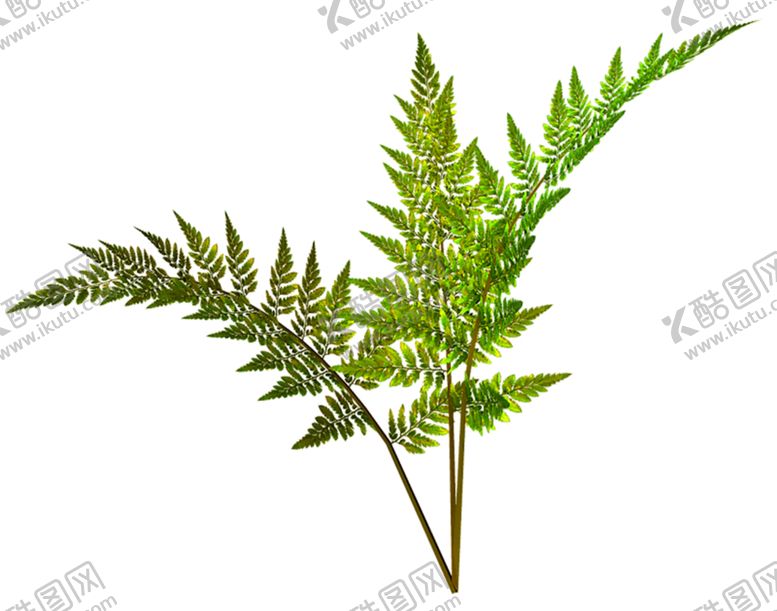 编号：71816609220730173731【酷图网】源文件下载-浪漫素材