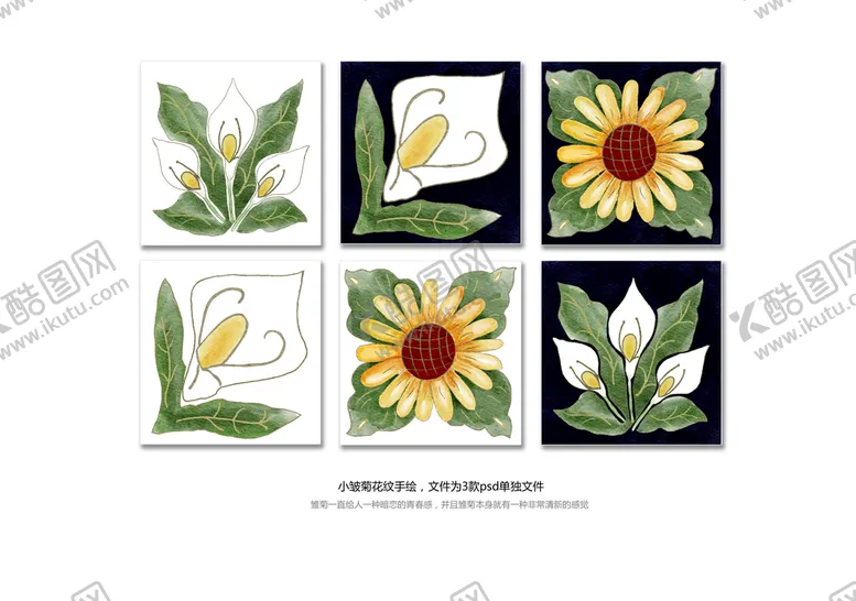 编号：46552412202314482392【酷图网】源文件下载-小皱菊手绘 植物挂画