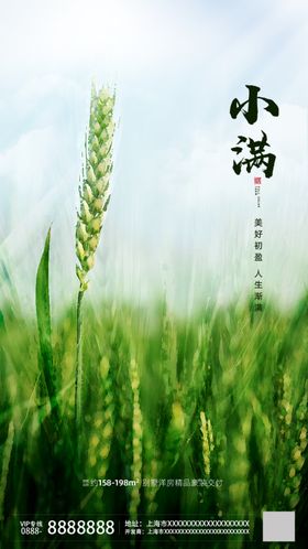 小满广告地产种植