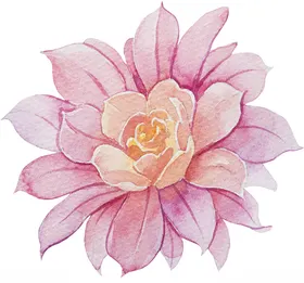 手绘花卉浪漫唯美园艺艺插结婚请帖