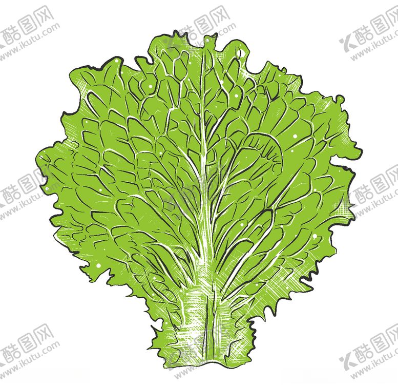 编号：70515711011719109564【酷图网】源文件下载-手绘蔬菜插画