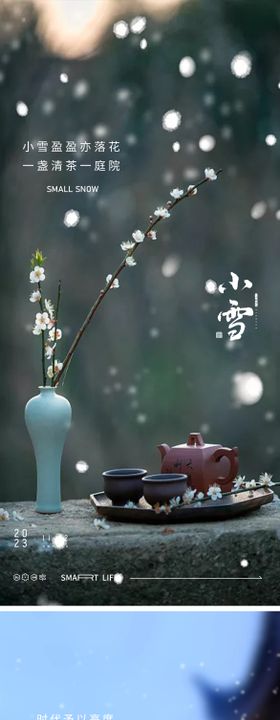 小雪大雪海报