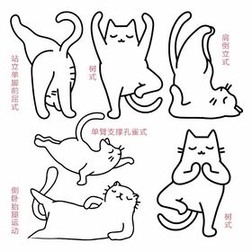 瑜珈猫