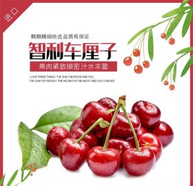 食品主图