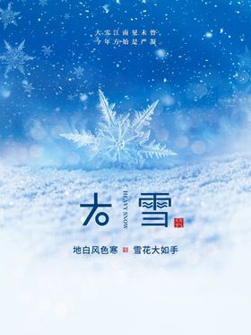  大雪海报 