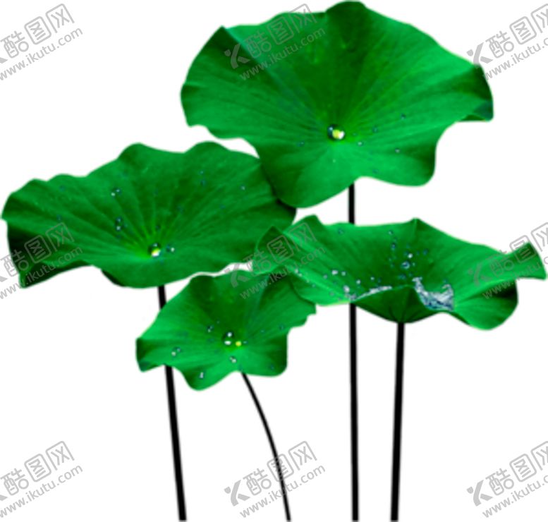 编号：74463409130056181830【酷图网】源文件下载-荷花元素