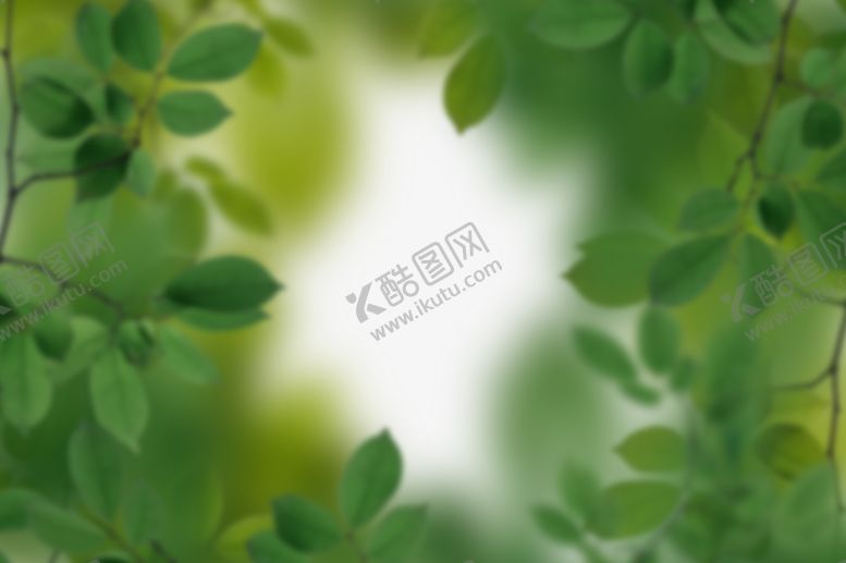 编号：64089111020554029191【酷图网】源文件下载-绿色树枝叶子透明背景合成素材