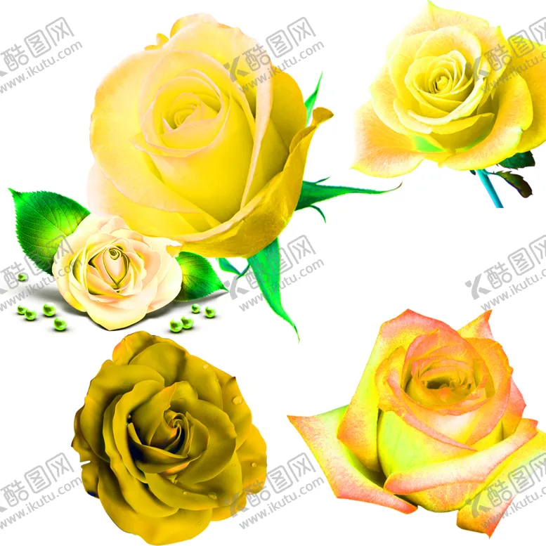 编号：60085106252019566684【酷图网】源文件下载-花素材