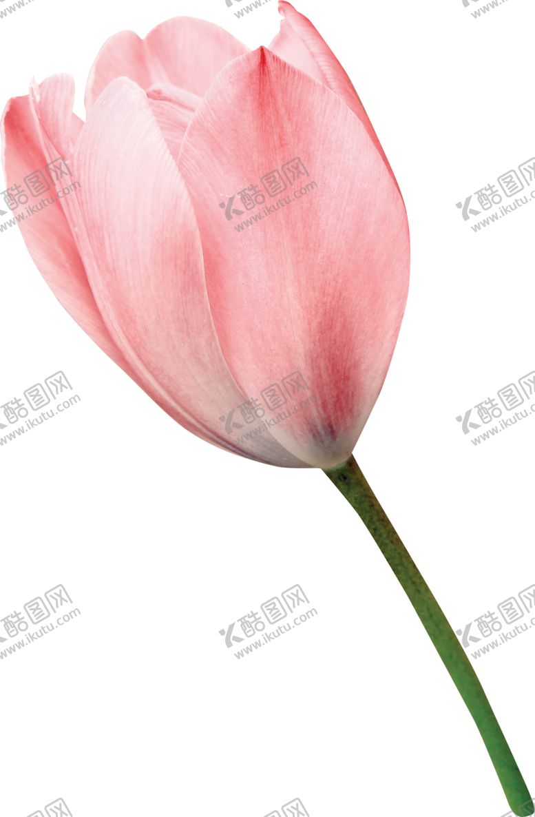 编号：74092607091705052829【酷图网】源文件下载-欧式复古花朵装饰