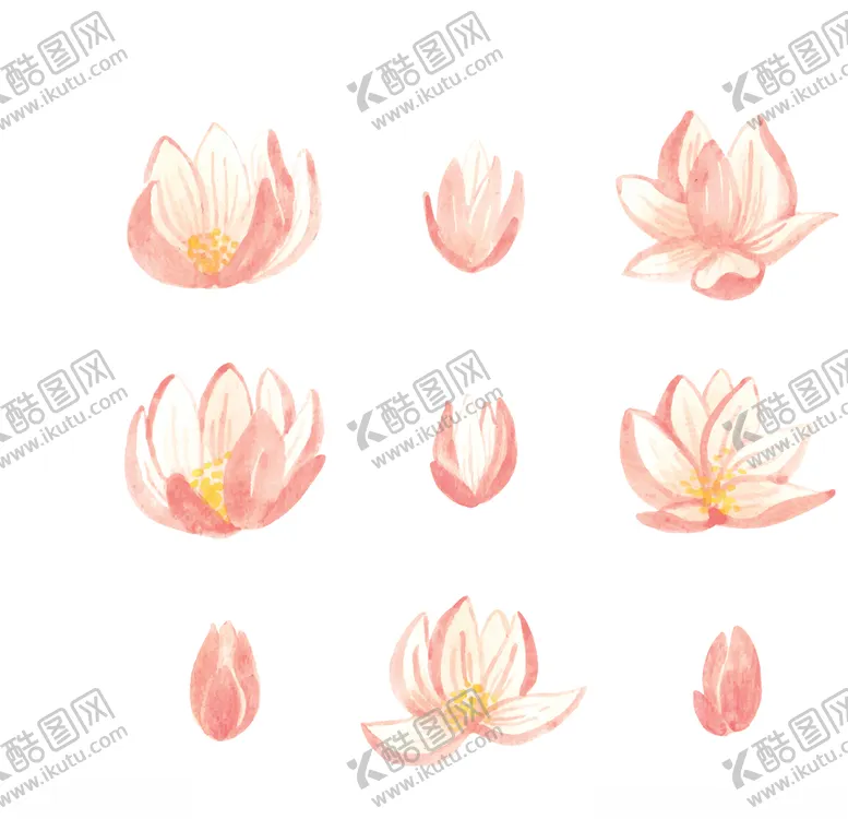 编号：70539504280546307011【酷图网】源文件下载-水彩手绘荷花