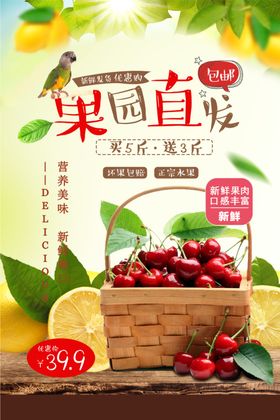 樱桃海报