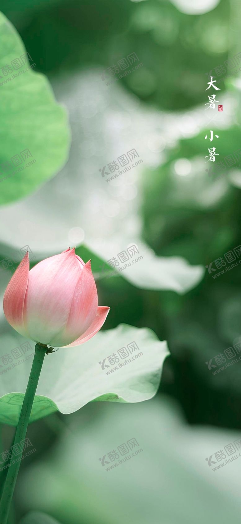 编号：73189509270443444708【酷图网】源文件下载-小暑