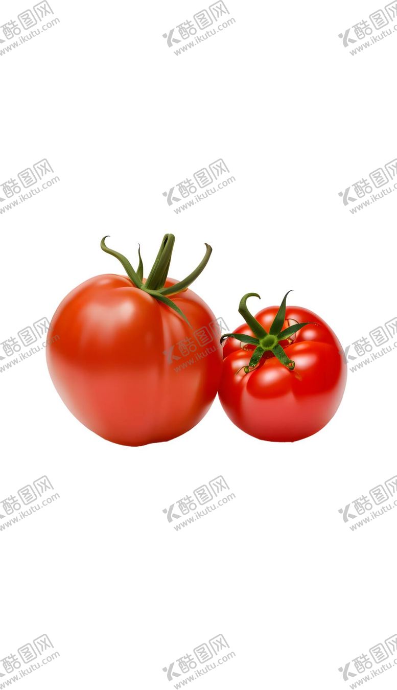 编号：95228011260316193171【酷图网】源文件下载-番茄西红柿水果蔬菜粮食