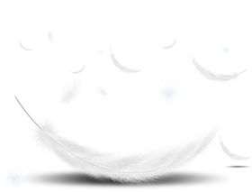 羽毛