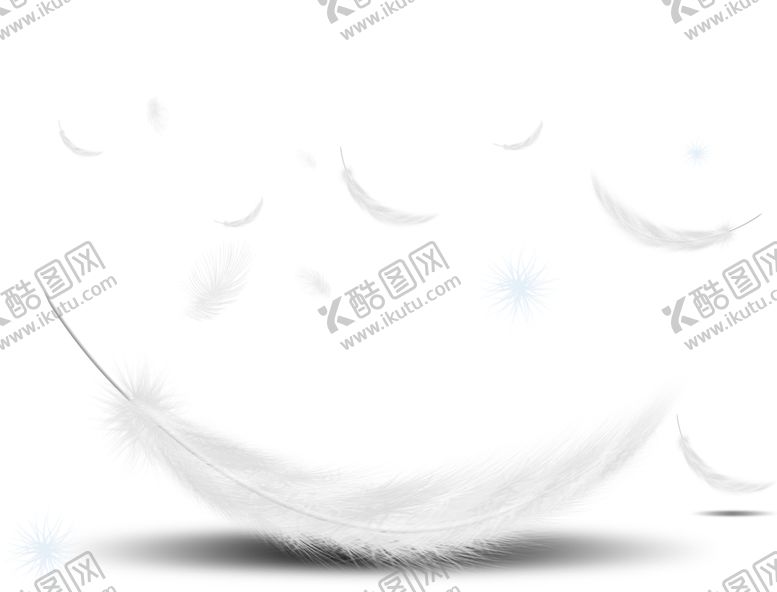 编号：54833306240806295158【酷图网】源文件下载-羽毛