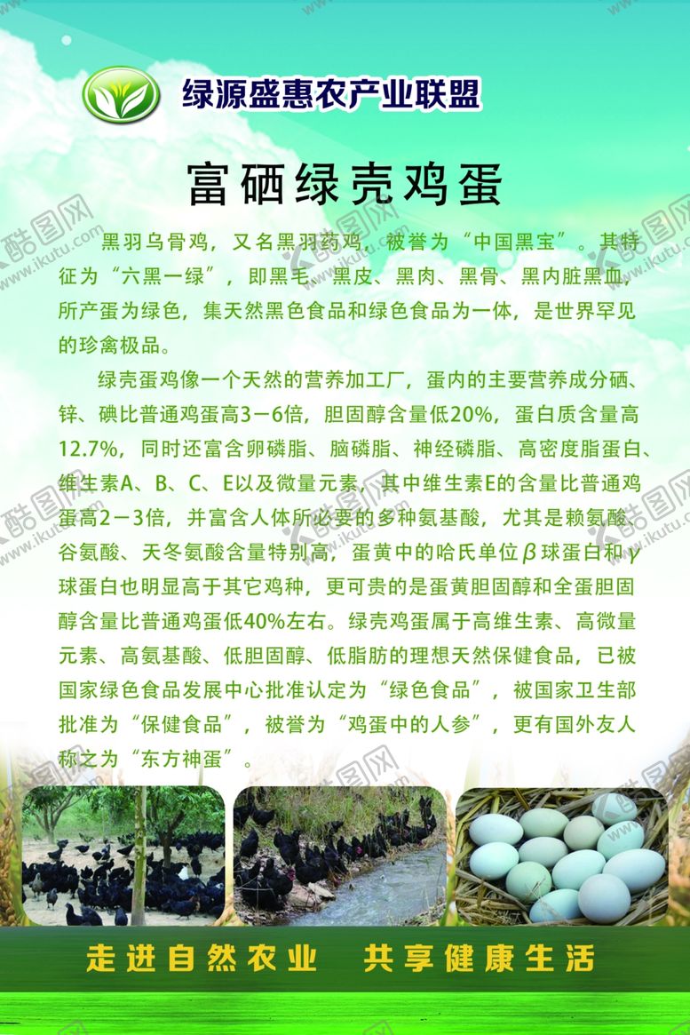 编号：88049210192026138843【酷图网】源文件下载-绿源盛惠农产业联盟