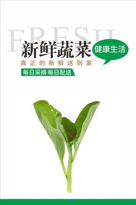 蔬菜海报