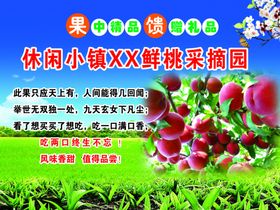 春光果园