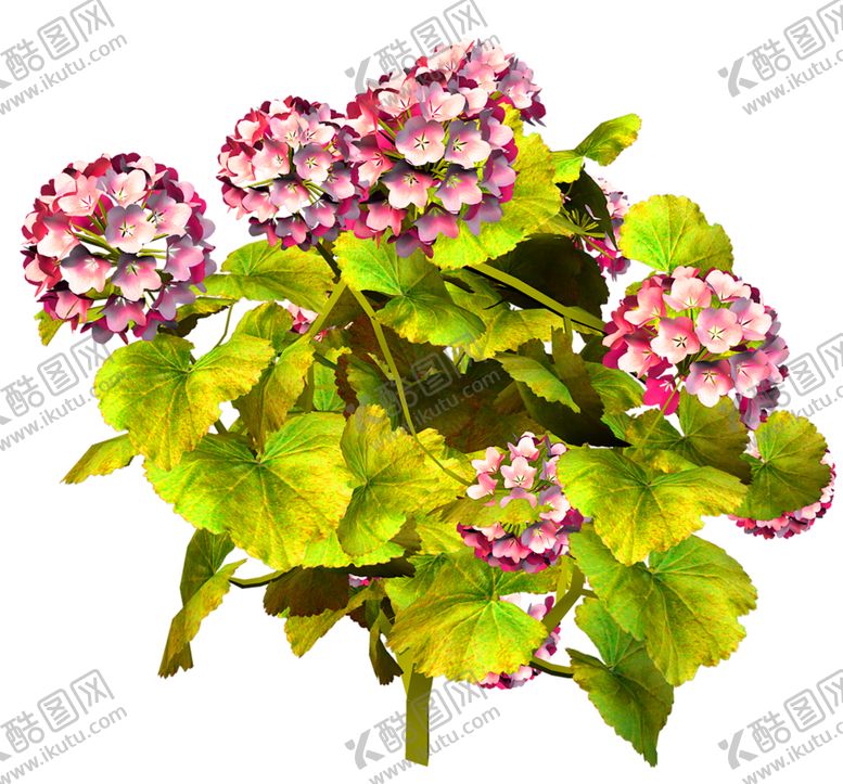 编号：91139209272339295707【酷图网】源文件下载-鲜花素材