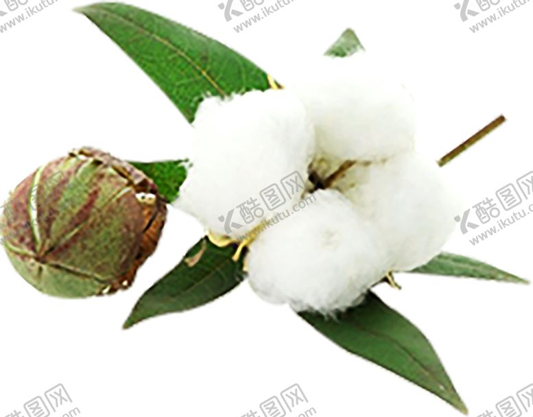 编号：69105510051951487252【酷图网】源文件下载-浪漫素材