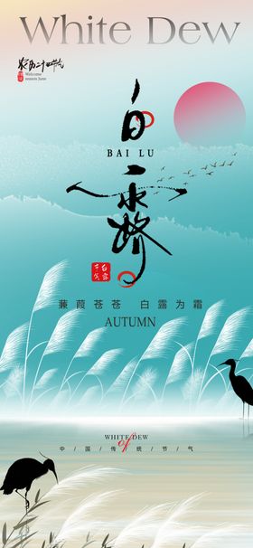 白露节气海报二十四寒鹭