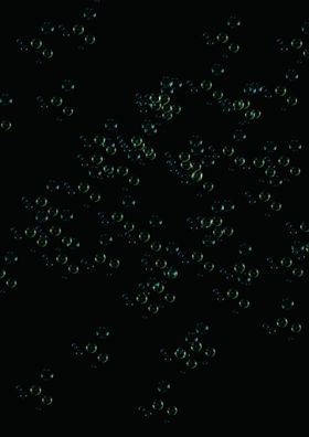 泡泡