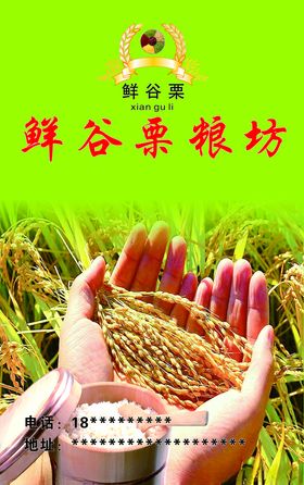 鲜谷粒