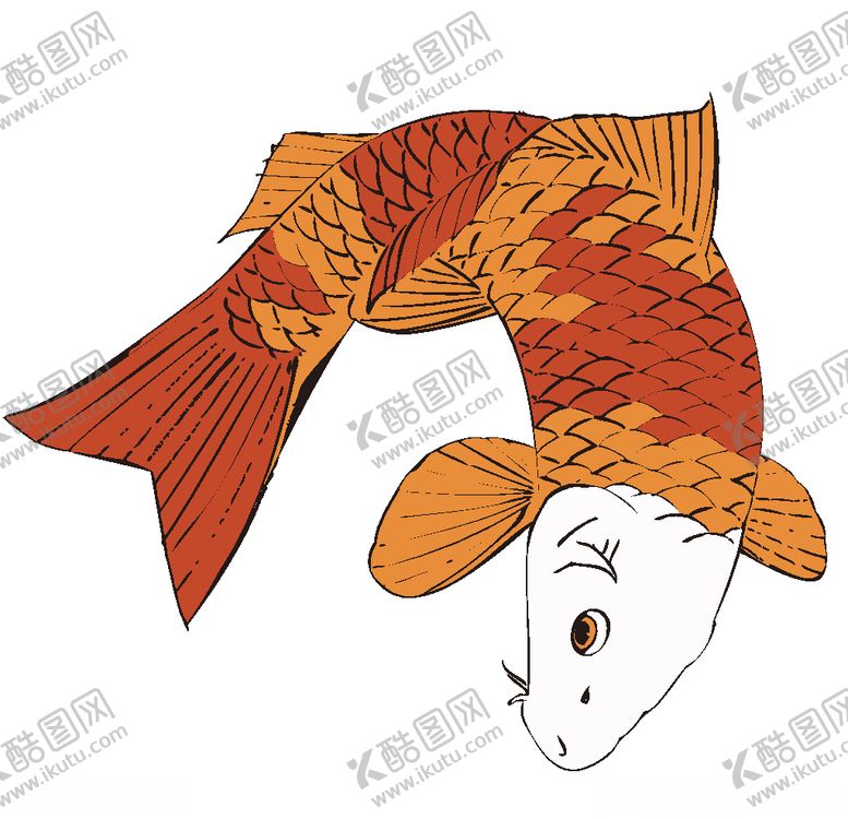 编号：38499210310741408353【酷图网】源文件下载-荷花鲤鱼矢量图