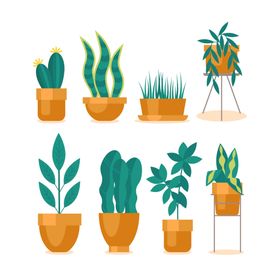 盆栽花卉花草卡通绿植插图