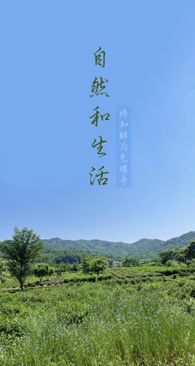 彩绘村庄风景图