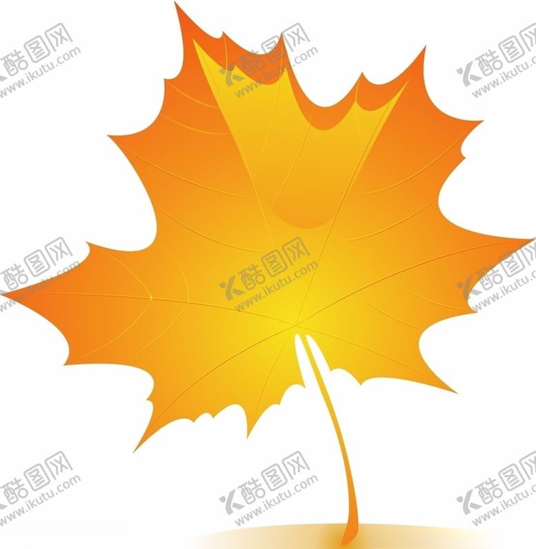 编号：39026606251330287724【酷图网】源文件下载-树叶