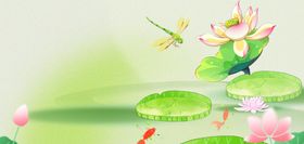 荷塘翠鸟荷花灵动美景