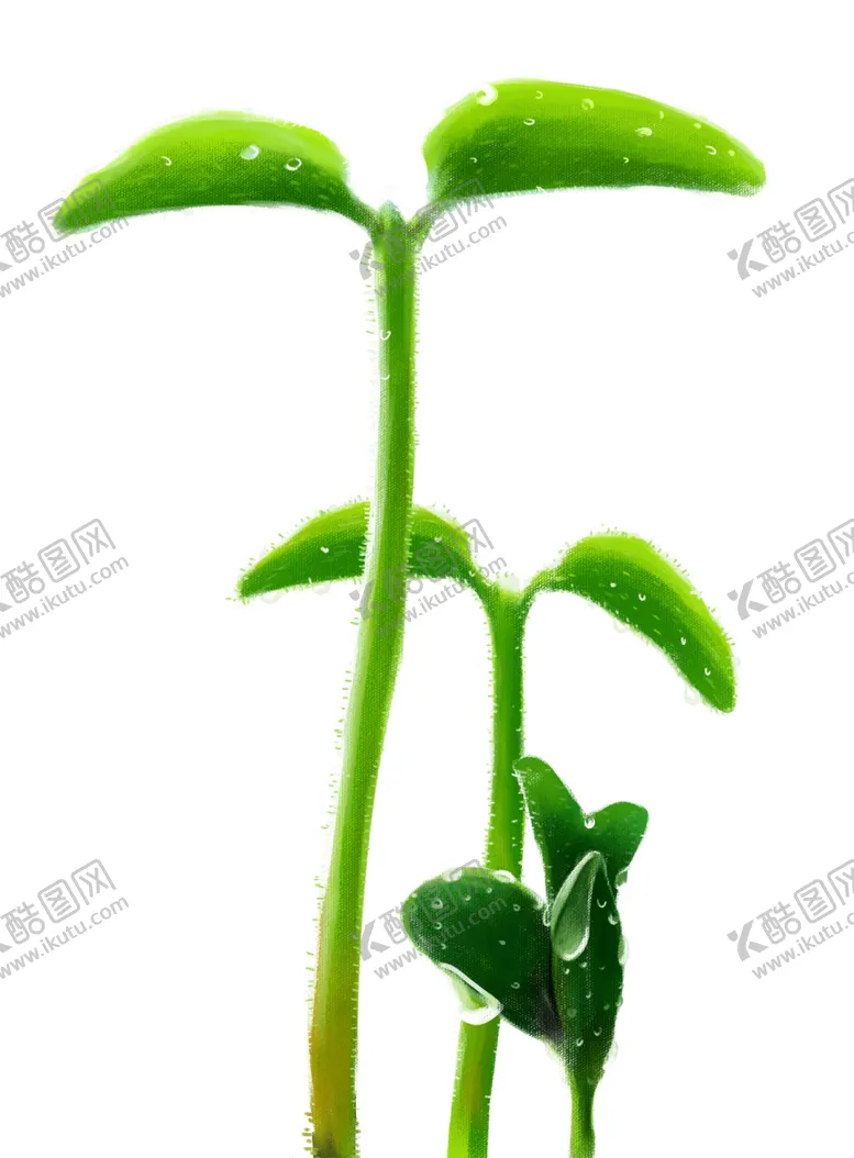编号：80482901251105562294【酷图网】源文件下载-立春萌芽的小树苗