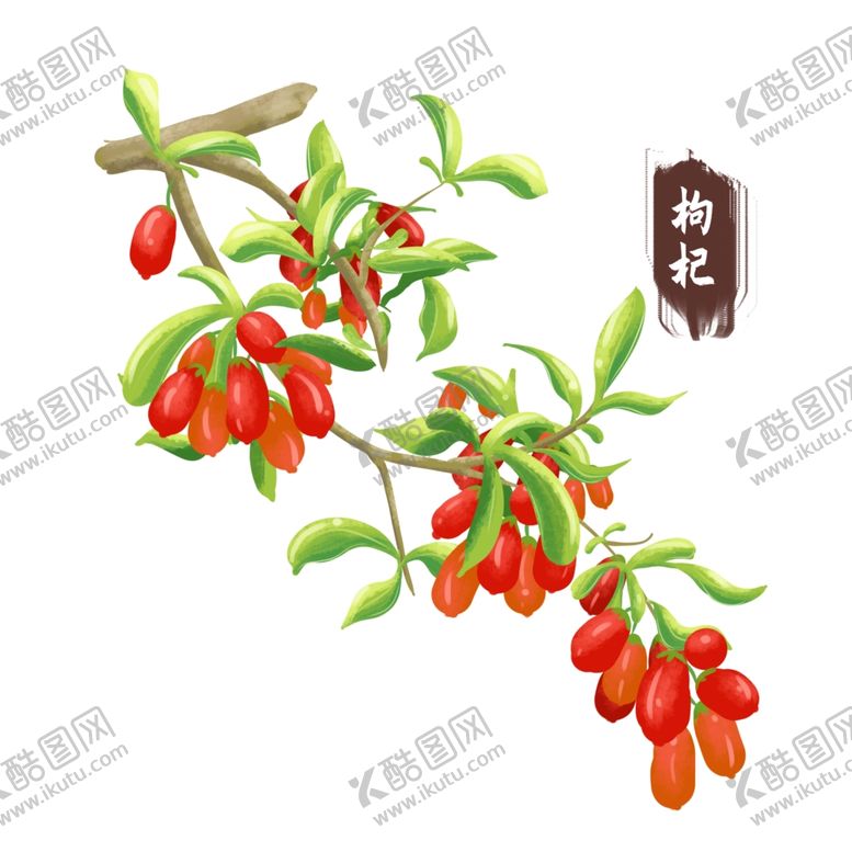 编号：79519001271408368447【酷图网】源文件下载-中药手绘插画
