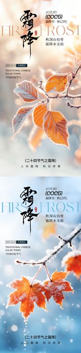 二十四节气霜降移动端海报