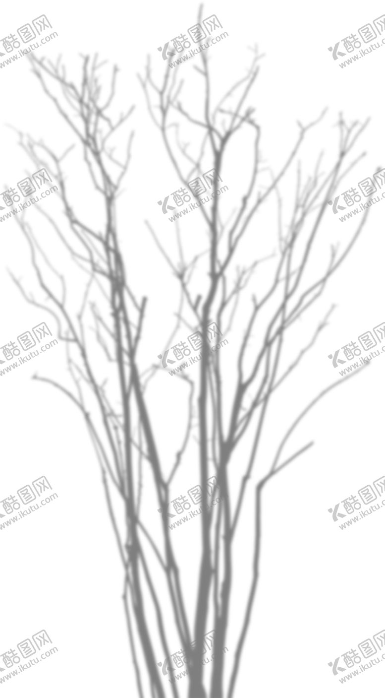 编号：29825205061455218051【酷图网】源文件下载-树影