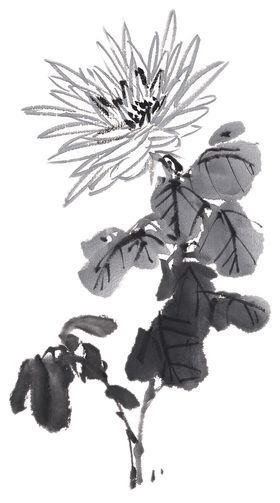 百花争艳抽象国画水墨画