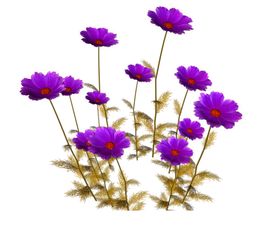 鲜花素材